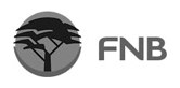 FNB logo